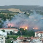 Φωτιά Λιβαδειά