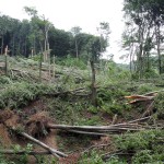 Αυστρία: 5χρονος Θάφτηκε Ζωντανός Σε Κατολίσθηση