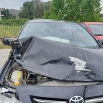 αυτοκίνητο σύγκρουση με αρκούδα