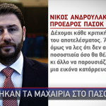 Νίκος Ανδρουλάκης