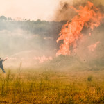 Φωτιά σε Ηλεία και Αχαΐα