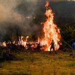 Φωτιά Ηλεία: Μαίνεται Σε Δύο Μέτωπα Η Πυρκαγιά