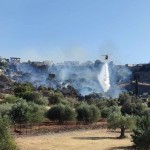 Φωτιά Στη Σαλαμίνα