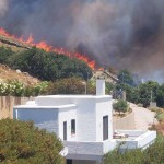 Φωτιά Σε Δασική Έκταση Στην Άνδρο - Μήνυμα Από Το 112