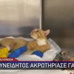 Θεσσαλονίκη