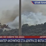 Canadair χτυπά σε δέντρο στη Ναύπακτο