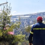 Φωτιά Τώρα Στη Σαλμώνη Ροδόπης