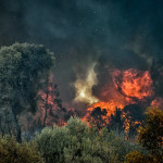 Φωτιά Στη Λευκόπετρα Ξάνθης - Μήνυμα Του 112