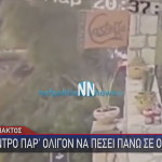 πτώση δέντρου στη Ναύπακτο
