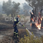 Αναζωπυρώθηκε Η Φωτιά Στο Ρέθυμνο - Ήχησε Το 112