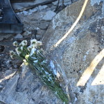 Χαλάνδρι: Πώς Παγιδεύτηκε Στη Φωτιά Η Άτυχη 63χρονη