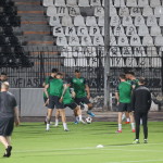 Πάει και για βαρβάτο «8άρι» ο ΠΑΟ μετά τον Πελίστρι- Τα δεδομένα για Μεϊτέ