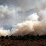 Αρκαδία πυρκαγιά