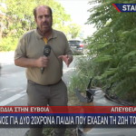 τροχαίο στην Εύβοια