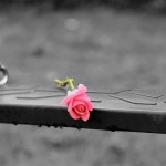 Ιαπωνία: Έφηβη Πήδηξε Στο Κενό Και Σκότωσε Περαστική