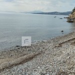 Βόλος: Πτώμα Άνδρα - Εξετάζεται Αν Πρόκειται Για Τον 40χρονο