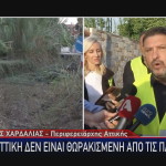 Νίκος Χαρδαλιάς