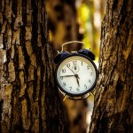 Αλλαγή Ώρας 2024: Πότε Θα Πάμε Τα Ρολόγια Μία Ώρα Πίσω