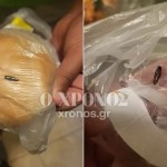 Κομοτηνή: Μαθήτρια Εντόπισε Κατσαρίδα Σε Σχολικό Γεύμα