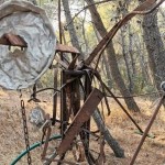 Υπαίθρια Έκθεση Γλυπτών στο Δάσος