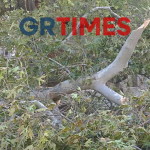 Θεσσαλονίκη: Νεκρός Άνδρας Που Καταπλακώθηκε Από Δέντρο
