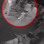Γλυφάδα: Συνεχίζει Τις Απειλές Η Μία Από Τις Δράστιδες