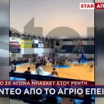 Ρέντη: Ξύλο Σε Αγώνα Μπάσκετ - Βίντεο Ντοκουμέντο