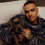 Λίαμ Πέιν: «Ροζ» κοκαΐνη και κρακ έδειξε η τοξικολογική