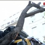 Πατησίων: Φορτηγό Έπεσε Πάνω Σε Δέντρο