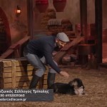 Φάρμα: Η Νόβα ψάχνει σπίτι