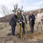 Nova: Ξεκίνησε Την Αναδάσωση Της Ιεράς Μονής Πεντέλης