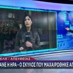 Κυψέλη: Πέθανε Η Σκυλίτσα Που Μαχαιρώθηκε
