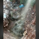 Αλμυρός: Πέταξαν Νεκρά Πρόβατα Με Ευλογιά Σε Χείμαρρο