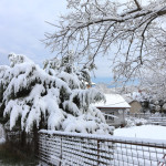 Έκτακτο Δελτίο Επιδείνωσης Καιρού: Καταιγίδες Και Χιόνια