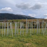 Τέμπη: Οργή Για Το «Ξήλωμα» Του Μνημείου Για Τα Θύματα