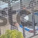 Ηλιούπολη: Τους Έπιασαν Να Κλέβουν Ελαιόλαδο