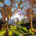 Βροχές σήμερα, αλλά Θεοφάνεια με καλό καιρό και άνοδο θερμοκρασίας