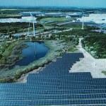 Nissan: Το εργοστάσιο όπου ζουν αρπακτικά πουλιά και... ασβοί