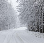 Τρία Πέντε Πηγάδια: Αποκλείστηκαν λεωφορεία στα χιόνια