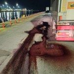 Φορτηγό Με 20 Τόνους Σάπιο Κρέας Βρέθηκε Στο Λιμάνι Πειραιά