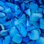 Εορτολόγιο 2 Φεβρουαρίου: Ποιοι γιορτάζουν σήμερα