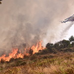 Φωτιά Στην Κόρινθο - Μεγάλη Κινητοποίηση