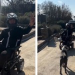 Στέλιος Ρόκκος