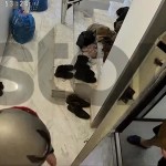 Κερατσίνι: Ντοκουμέντο Από Τις Απειλές Του 42χρονου