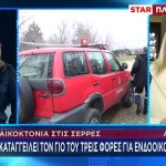 Γυναικοκτονία Σέρρες: Το Προφίλ Του Δράστη