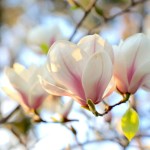 Τα Ζώδια Που Θα Βιώσουν Καρμικές Αλλαγές