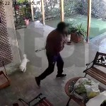 Μενίδι: Η Στιγμή Που Άνδρας Αρπάζει Σκυλάκι Από Αυλή