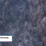 Motor Oil: Βραβείο Θεσμού Ανάδοχου Αποκατάστασης -Αναδάσωσης