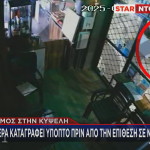 Κυψέλη