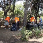 καθαρισμός οικοπέδων